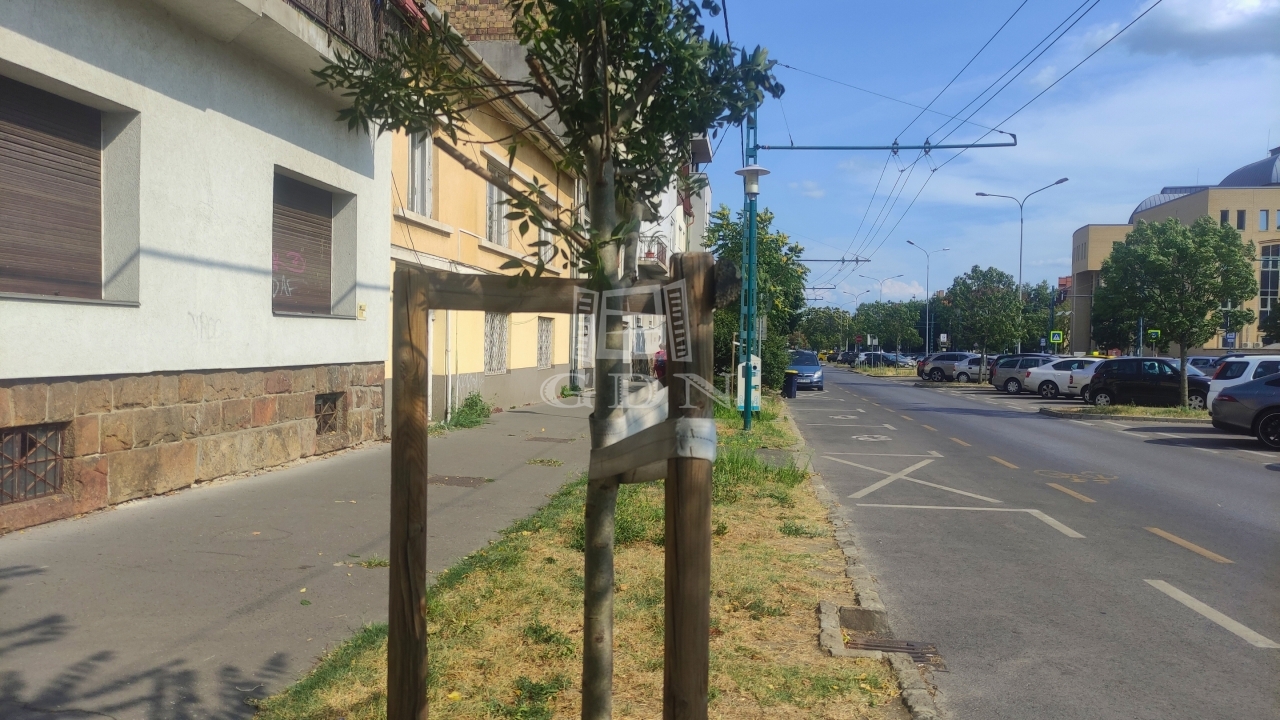 Vânzare Budapest XIV. kerület Locuinta (caramida)